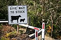 Image 12This Australian road sign uses the less common term "stock" for livestock. (from Livestock)