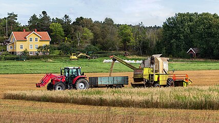 Harvesting oats in Brastad, Sweden, 2021
