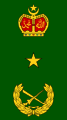 Brigedier jeneral (Malaysian Army)[33]