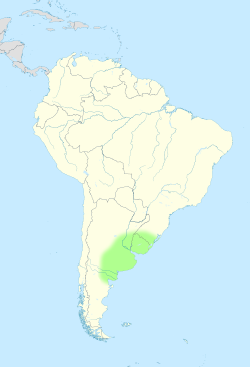 Approximate location and borders of the Pampas encompassing the southeastern area of South America bordering the Atlantic Ocean