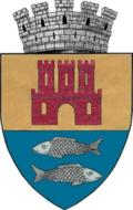 Wappen von Făgăraș