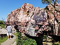 Red quartzite cliffs along the trail