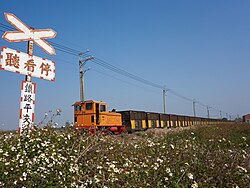 A Sugar Railway train operating in a field