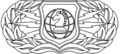 Information Operations Badge[9]
