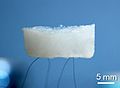 An aerogel held up by hair.[75] (Scientific Reports)