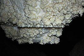 Cave popcorn trays