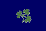 Ireland cricket team flag