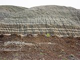 Well-stratified and fully exposed sedimentary formations in Dinosaur Provincial Park, Alberta, Canada) extend over large areas exposing eons of rock history through numerous wind and water exposed strata layers