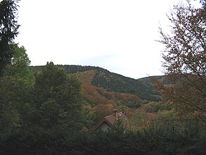 Hürtgenwald,  Germany
