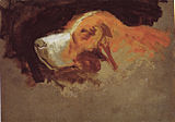 Eakins' preparatory sketch of his dog for The Swimming Hole. Sketch of Harry's head, from two sided sketch for Swimming, oil on cardboard, 10+1⁄2 × 14+1⁄2 in (27 × 37 cm), 1884