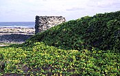 Ruined wall from 19th-century guano settlement on Starbuck Island
