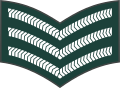 Sergeant (Gambian National Army)
