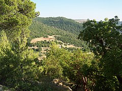 Forests surround Ajloun