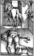 Bewitched Stable Groom, Hans Baldung Grien, c. 1534[39]