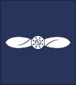 লীডিং এয়ারক্র্যাফটম্যান Līḍiṁ ēẏārakryāphaṭamyāna (Bangladesh Air Force)[7]
