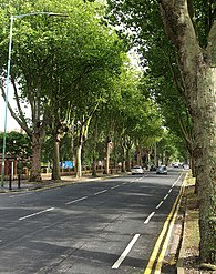 Cottingham Road (2009)