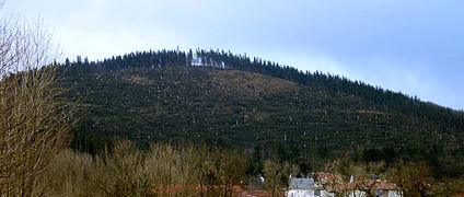 The forest on the Lindenberg mountain above Ilmenau, Germany was heavily damaged
