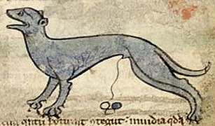 Lapis lynxurius in a medieval bestiary