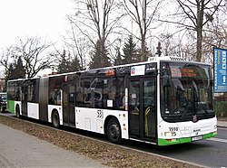 MAN NG 313, line 53 in Szczecin