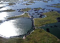 Schutzgebiet Pantanal