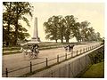 Dutch Elms, Phoenix Park, Dublin, c.1890 [7]