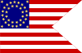 United States Cavalry guidon.