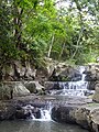 Waterfall in Miraflor Nature Reserve