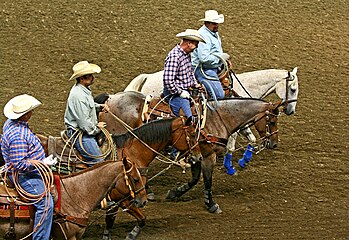 Riders carrying modern lassos for competition in team roping.