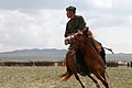 A Mongolian military horseman, 2013