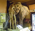 Full-size recreation of The Barnstaple Elephant
