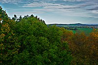 Landschaftschutzgebiet Dippoldiswalder Heide und Wilisch. Diagonal über das Bild die Baumkronen der Dippoldiswalder Heide und am Horizonz der Berg Wilisch.