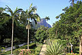 Corcovado Mountain, with Christ the Redeemer at the top, as seen from the Botanical Garden.