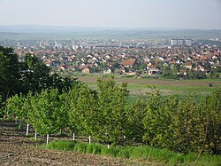 Kladovo town panorama