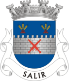 Wappen von Salir