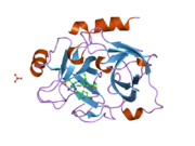 1zpz: Factor XI catalytic domain complexed with N-((R)-1-(4-bromophenyl)ethyl)urea-Asn-Val-Arg-alpha-ketothiazole