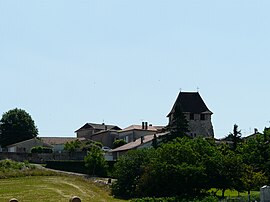 A general view of Saint-Sulpice-de-Roumagnac