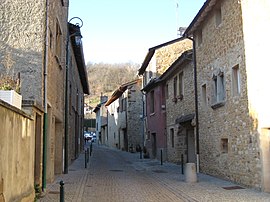A street in Saint-Romain-au-Mont-d'Or