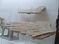 Wings of sphinxes from the Thinissut sanctuary, c. 1st century AD (Nabeul Museum, Tunisia)