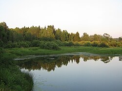 Tebza River, Buysky District