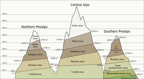 Altitudinal zonation in the Alps
