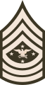 Army insignia (2019–present)[7]
