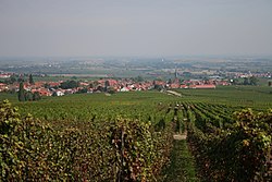 View on Rhodt from Weyher