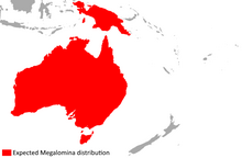 Map of Oceania, showing the expected range of Megalomina