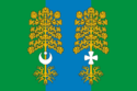 Flag of Vagaysky District