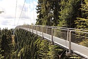 Suspension bridge "Wildline" in Bad Wildbad (Germany)
