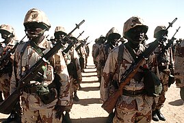 Soldiers in a Niger army unit stand in formation while a dignitary visits their outpost during Operation Desert Shield. The men are armed with M14 rifles.