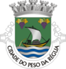 Coat of arms of Peso da Régua
