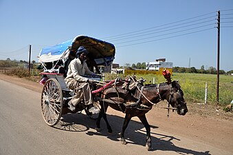 Tanga on the Indian National Highway 86 in India
