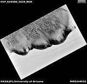 North Polar Scarp in Abalos Undae with Basal Exposure and Dunes in black and white with scale