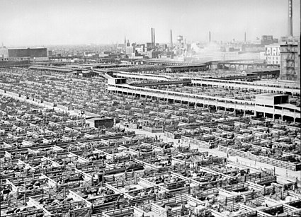 Livestock pens in Chicago 1947